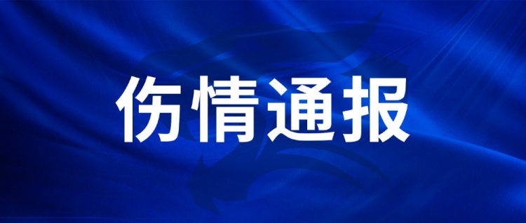王毅和陈哲超在足协杯赛事中受伤，医疗诊断及康复预计