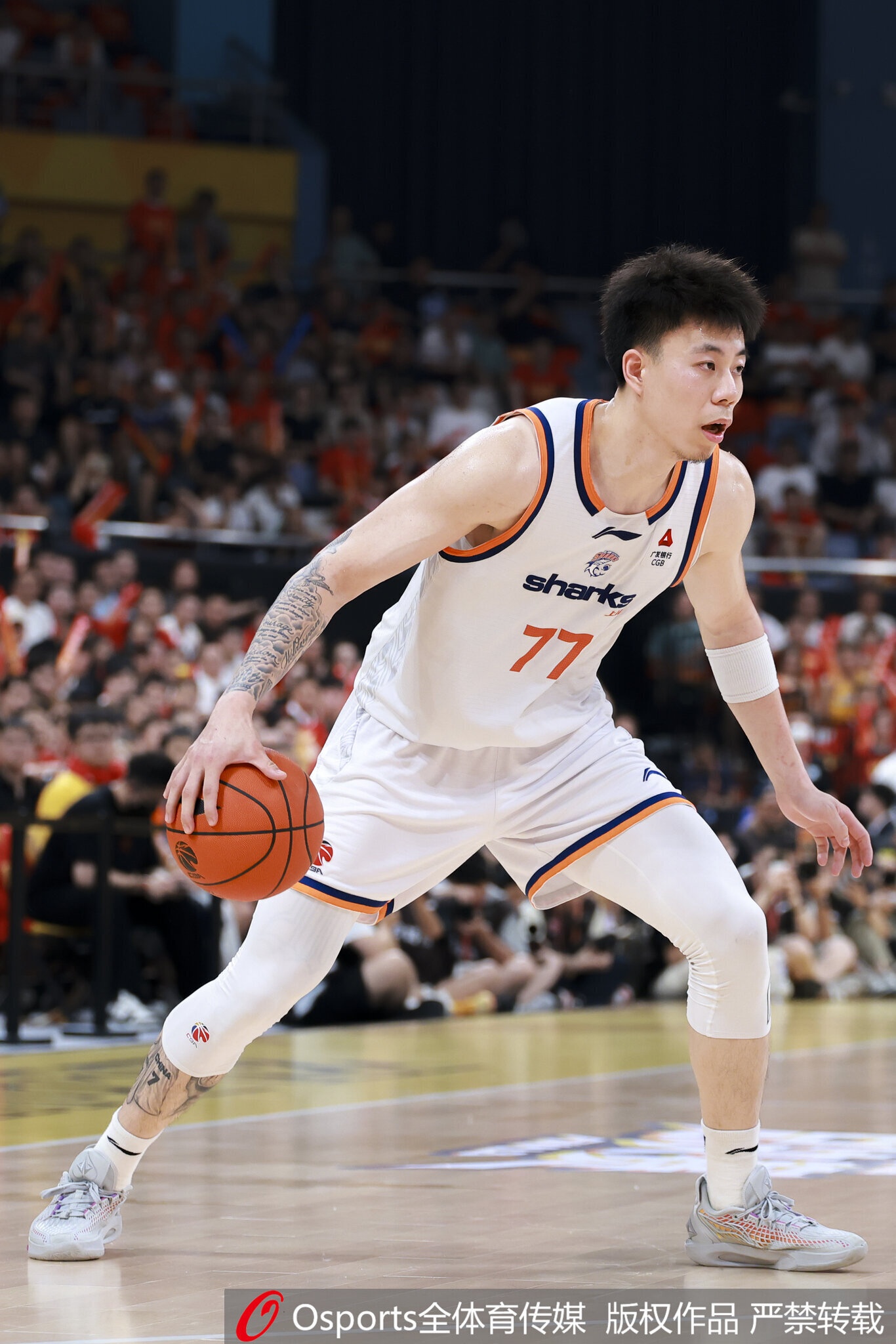 媒体人：上海只有王哲林是D类合同 剩余两个顶薪或给张镇麟李弘权