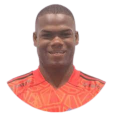 Félix Mina
