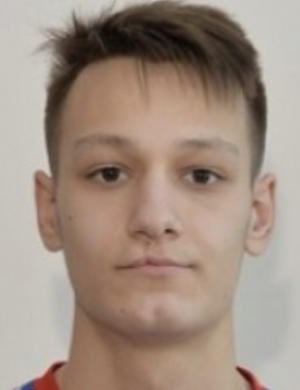 Vito·Matijevic