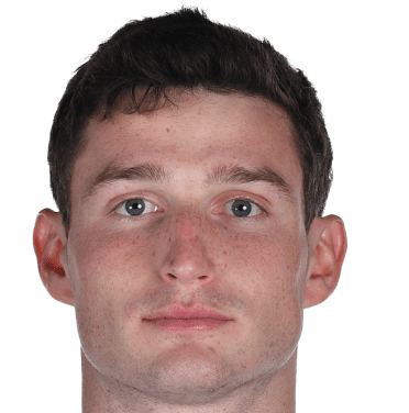 马特·弗里斯