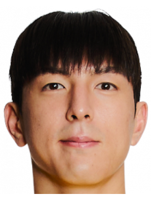 柳智河